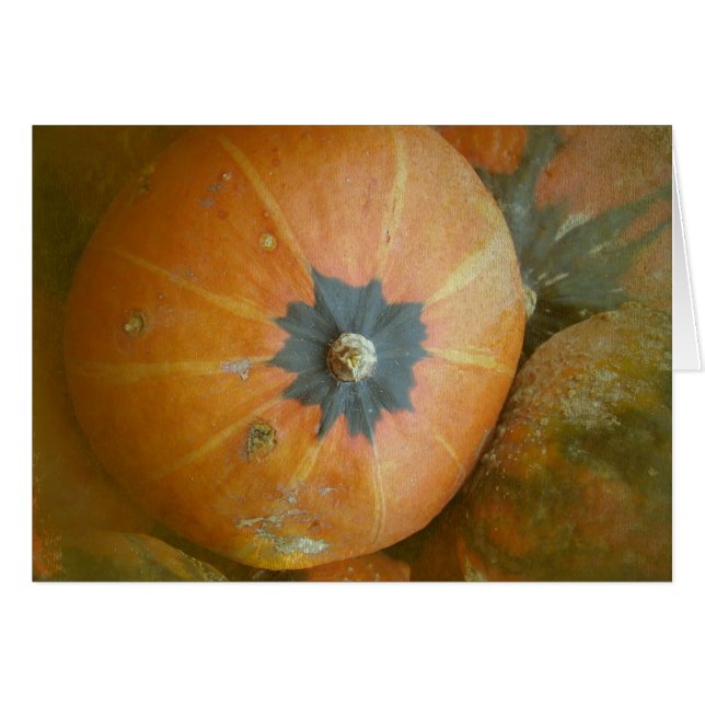 Pumpkin Patch Cards (Front Horizontal)