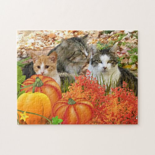 Pumpkin Patch Cat Lovers Jigsaw Puzzle