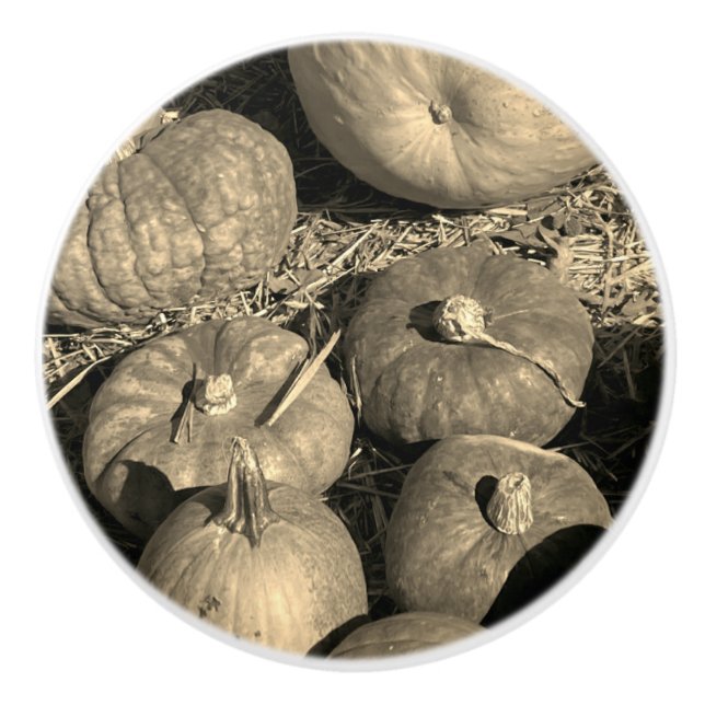 Pumpkin Patch Ceramic Knob (Front)