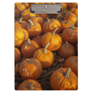 Pumpkin Patch Clipboard