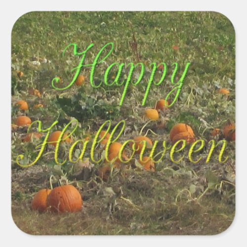 Pumpkin Patch Fall Autumn Halloween Stickers