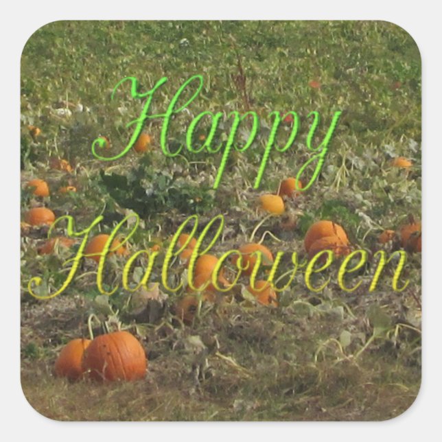 Pumpkin Patch Fall Autumn Halloween Stickers (Front)