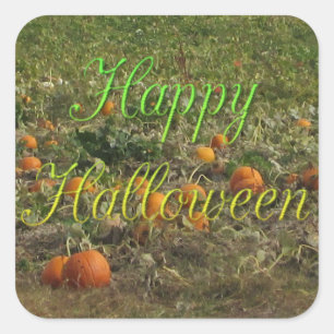 Pumpkin Patch Fall Autumn Halloween Stickers