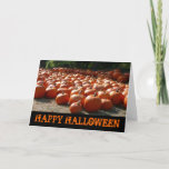 Pumpkin Patch Happy Halloween Card