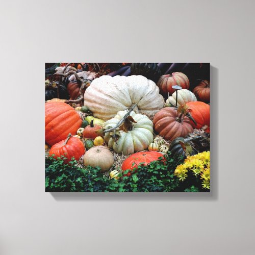 Pumpkin Patch Harvest Canvas Print
