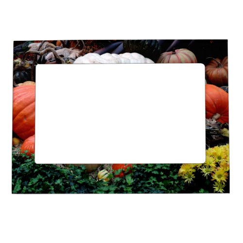 Pumpkin Patch Harvest Magnetic Picture Frame