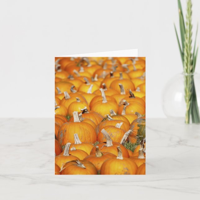 Pumpkin Patch Holiday Card (Front)
