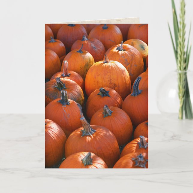 Pumpkin Patch Holiday Card (Front)
