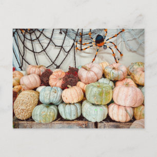Pumpkin Patch Magic Postcard