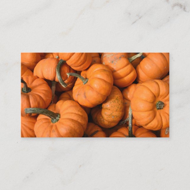 Pumpkin Patch Orange Harvest Garden Gourds Photo Business Card (Front)