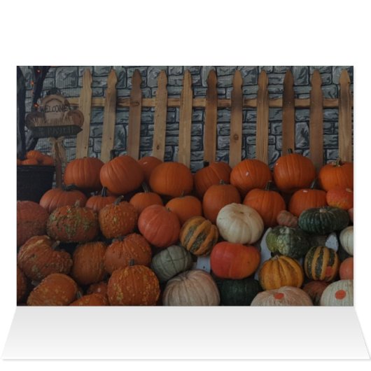 Pumpkin Patch Photo Holiday Postage Stamps (Inside Horizontal (Top))