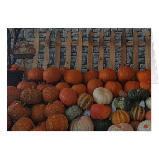 Pumpkin Patch Photo Holiday Postage Stamps Cards (Front Horizontal)