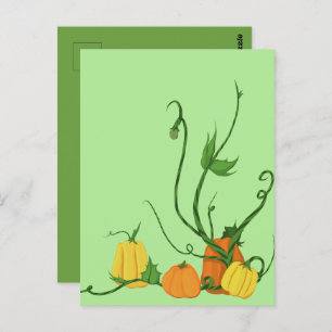 Pumpkin Patch Postcard