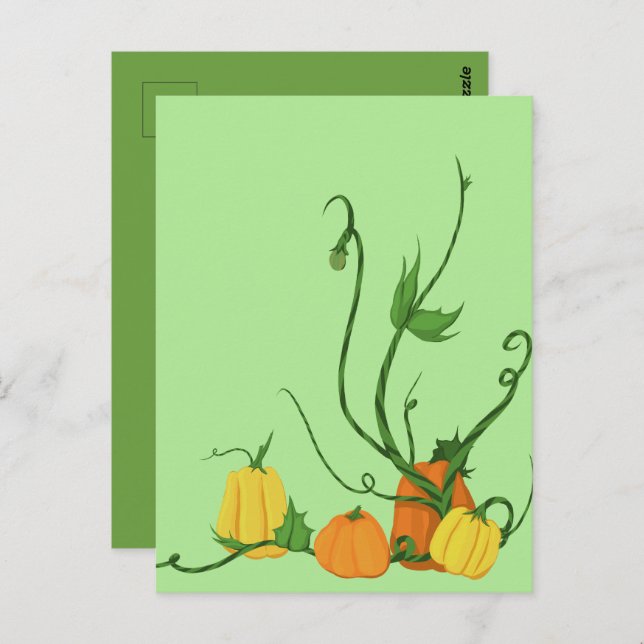Pumpkin Patch Postcard (Front/Back)