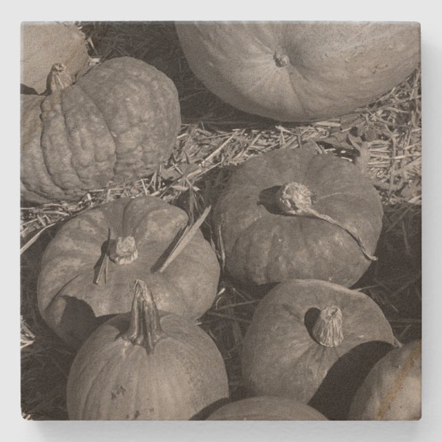 Pumpkin Patch Stone Coaster (Front)