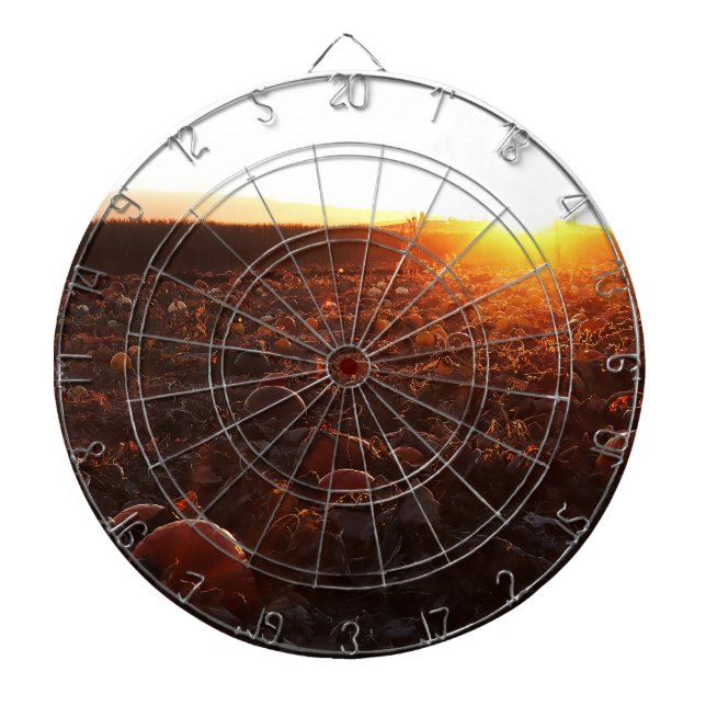 Pumpkin Patch Sunset B Dart Board (Front)