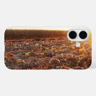 Pumpkin Patch Sunset C iPhone 16 Case