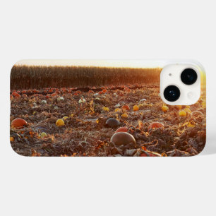 Pumpkin Patch Sunset C Case-Mate iPhone 14 Case