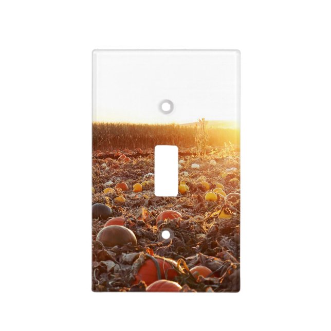 Pumpkin Patch Sunset C Light Switch Cover (Front)