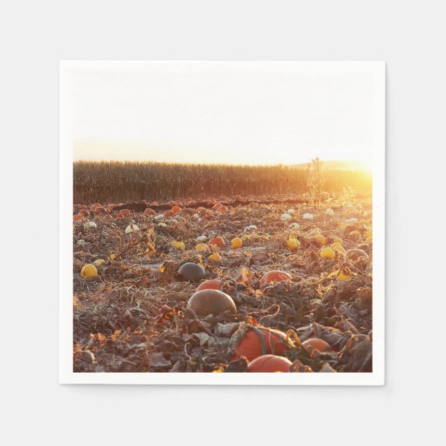 Pumpkin Patch Sunset C Napkins (Front)