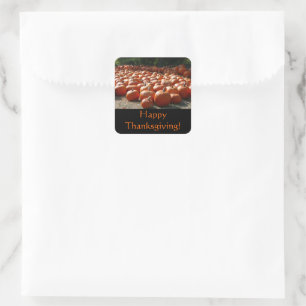 Pumpkin Patch Thanksgiving Sticker