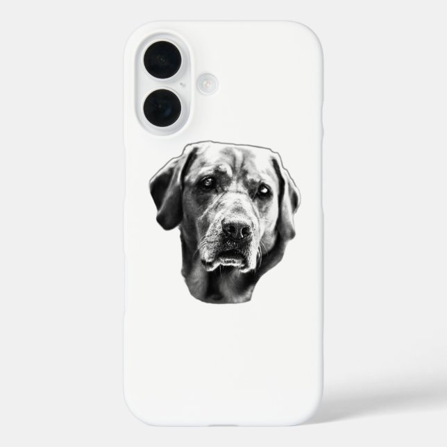Pumpkin Path Guardian Case-Mate iPhone Case (Back)