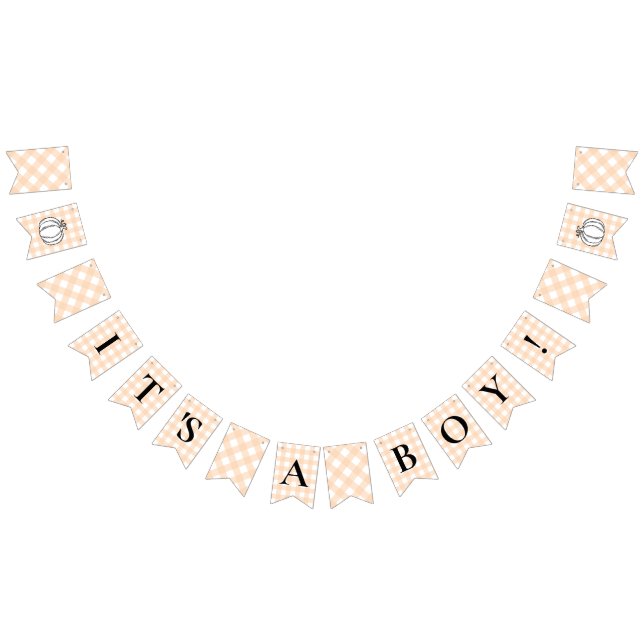 Pumpkin Peach Gingham Baby Shower Bunting Flags (All)