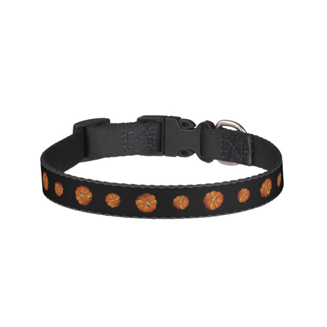Pumpkin Pet Collars (Front)
