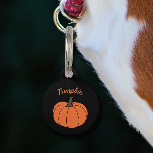Pumpkin Pet Tag