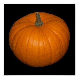 Pumpkin Photo on Black Background Poster