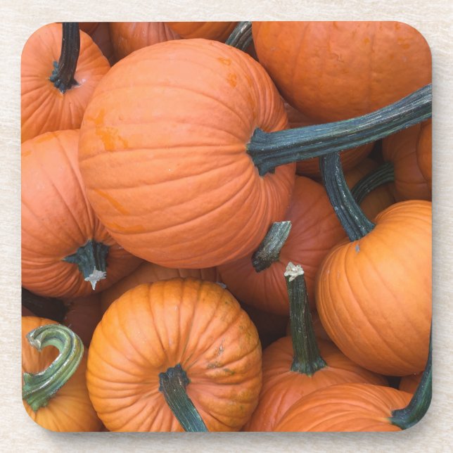 Pumpkin Pile! Beverage Coaster (Front)