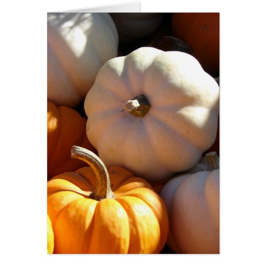 Pumpkin Pile Cards (Front)