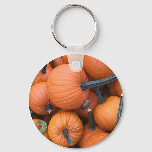 Pumpkin Pile! Keychain (Front)
