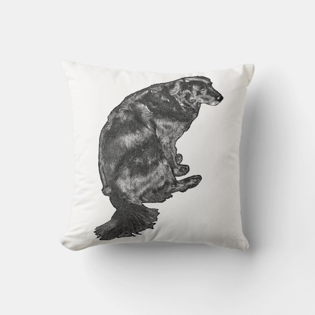 Pumpkin-Quiet Corner — Retriever Throw Pillow (Front)