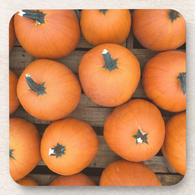Pumpkin Rows Coaster (Front)