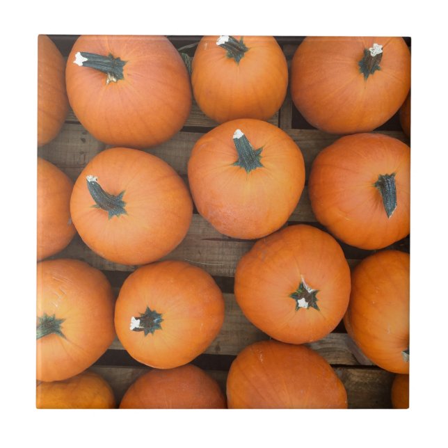 Pumpkin Rows Tile (Front)