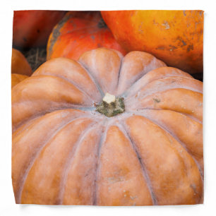 Pumpkin Season Bandana