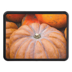 Pumpkin Season Hitch Cover