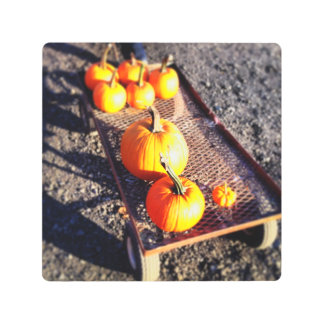 Pumpkin Season Metal Print
