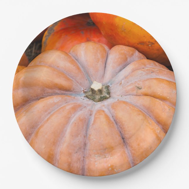 Pumpkin Season Paper Plates (Front)