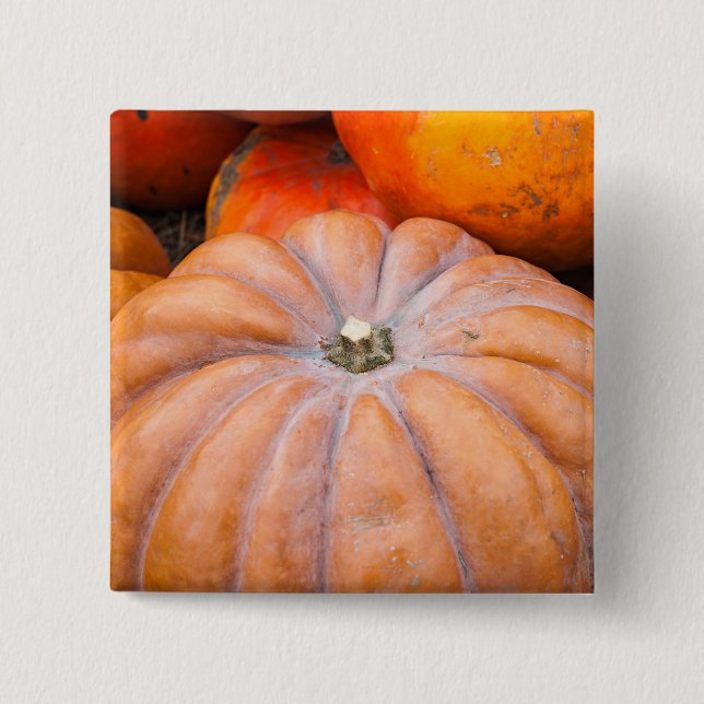 Pumpkin Season Pinback Button (Front)
