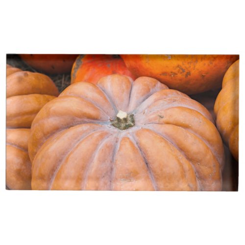 Pumpkin Season Table Card Holder