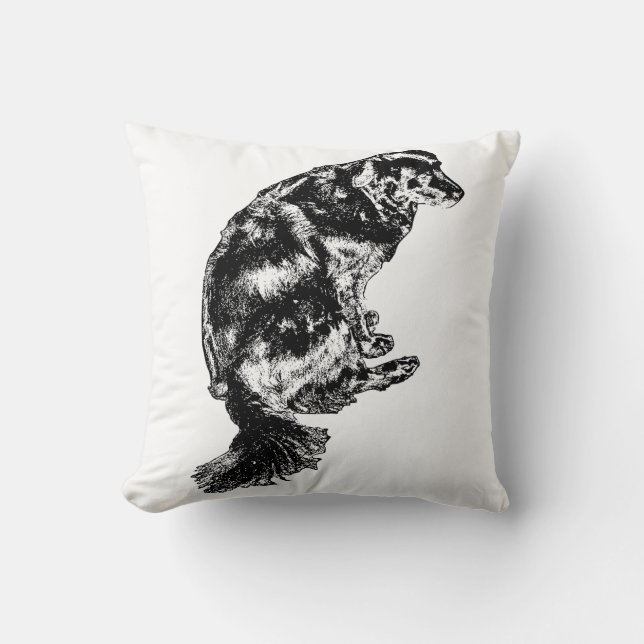 Pumpkin-Shadow Shape — Retriever Throw Pillow (Front)