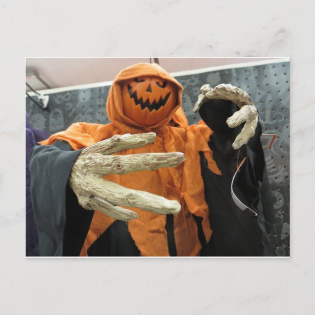 Pumpkin Skeleton Postcard (Front)