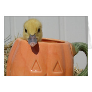 Pumpkin Spice Cards