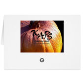 Pumpkin Spice Cards (Back Horizontal)