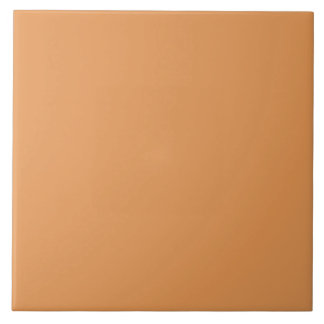 Pumpkin Spice Color | #E69855 Ceramic Tile