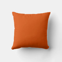 Spice colored throw pillows 2025