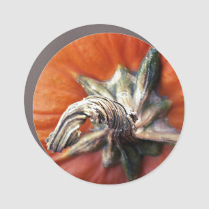 Pumpkin Spiral  Car Magnet