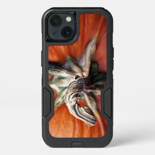 Pumpkin Spiral iPhone 13 Case